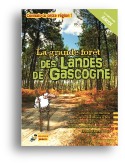 La grande forêt des Landes de Gascogne
